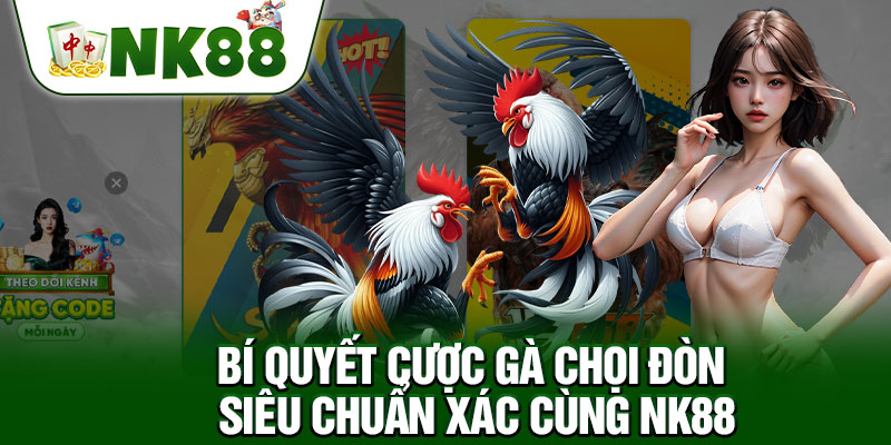 Bí Quyết Cược Gà Chọi Đòn Siêu Chuẩn Xác Cùng NK88