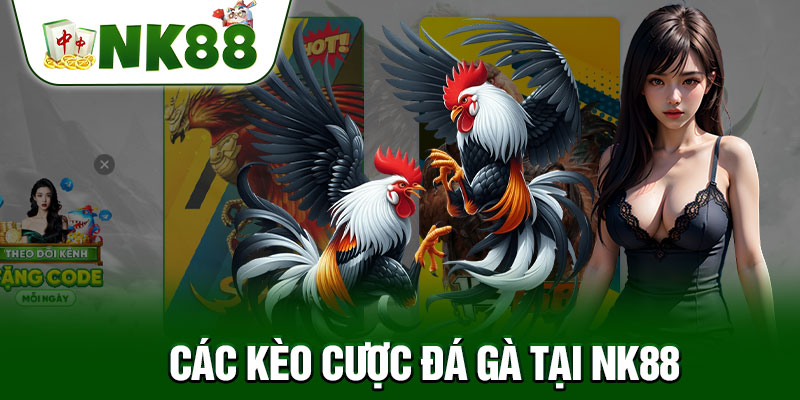 Hiểu Đúng Về Hình Thức Đá Gà Đòn