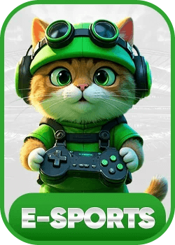 e sports